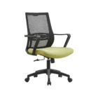 transparent Photoroom 2026 05 07T122331.535